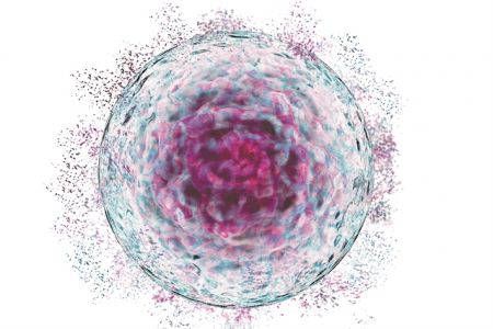 Θεραπευτική κοσμογονία