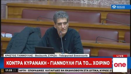 Διευκρινίσεις Γιαννούλη για τα περί «μπάρμπεκιου» έξω από hot spot