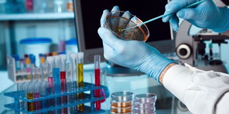 Δημιούργησαν ζωντανό δέρμα σε τρισδιάστατη μορφή