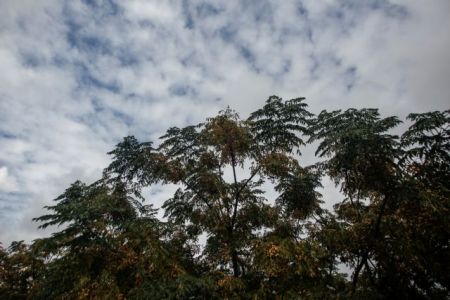 Καιρός : Νεφώσεις βαθμιαία αυξημένες αναμένονται την Κυριακή
