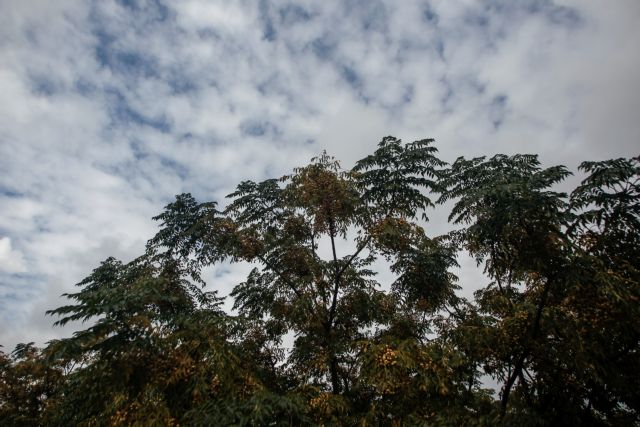 Καιρός : Νεφώσεις βαθμιαία αυξημένες αναμένονται την Κυριακή