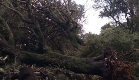 Κέρκυρα : Πλημμύρες, καταστροφές και προβλήματα στην ηλεκτροδότηση