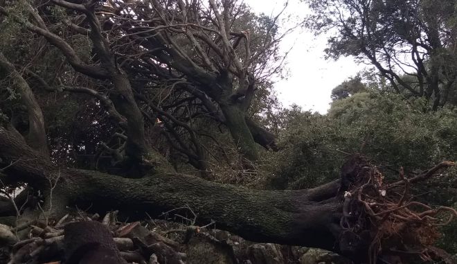 Κέρκυρα : Πλημμύρες, καταστροφές και προβλήματα στην ηλεκτροδότηση