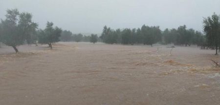 Μεσσηνία : Οι βροχές «έπνιξαν» τον κάμπο