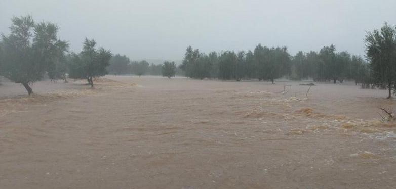 Μεσσηνία : Οι βροχές «έπνιξαν» τον κάμπο