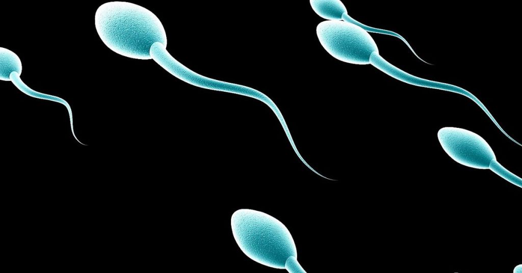 Το σπερμοδιάγραμμα και ο έλεγχος της ανδρικής υπογονιμότητας