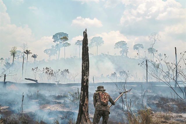 Οι φλόγες του Αμαζονίου –  Τι δείχνουν τα στοιχεία επιστημόνων