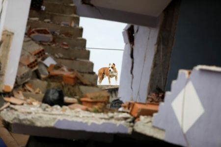 Αλβανία : Νέος σεισμός 4,9 Ρίχτερ, ενώ αυξάνονται συνεχώς οι νεκροί – Επισήμως στους 40
