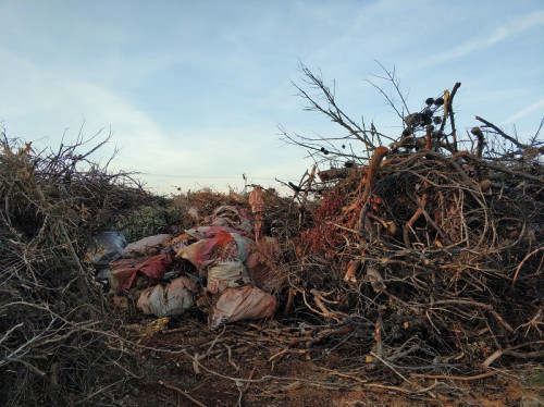 Παρατηρητήριο για το Μάτι : Προειδοποιεί για νέο επικίνδυνο οικόπεδο με καμένα κλαδιά