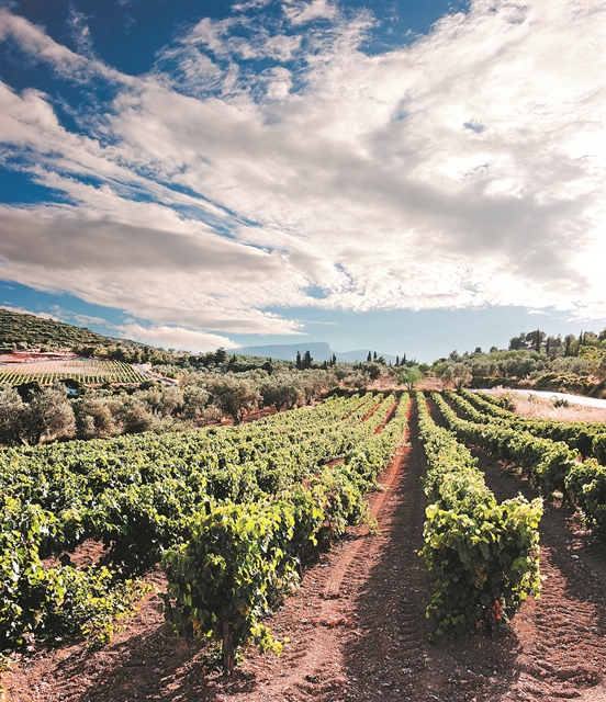 Xρονιά δεκαετίαςγια το ελληνικό κρασί