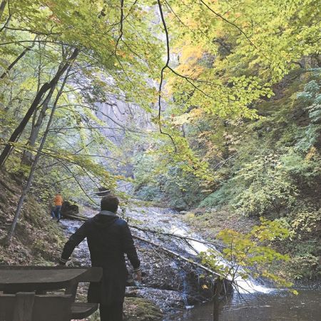 Τα μονοπάτια της… Ιστορίας