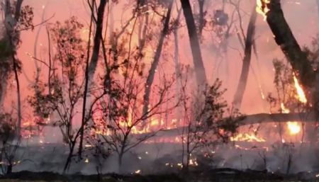 Αυστραλία: Συνεχίζεται η μάχη με τις φλόγες – Πάνω από 140 πυρκαγιές