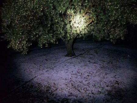«Διδώ»:  Σάρωσε Κρήτη και Ρόδο – Χαλάζι κατέστρεψε καλλιέργειες