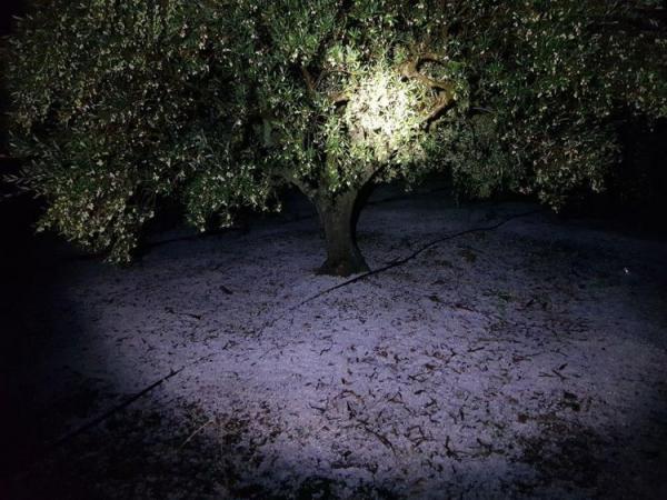 «Διδώ»:  Σάρωσε Κρήτη και Ρόδο – Χαλάζι κατέστρεψε καλλιέργειες