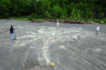 Νέα Υόρκη: Ανακαλύφθηκε το αρχαιότερο απολιθωμένο δάσος του κόσμου