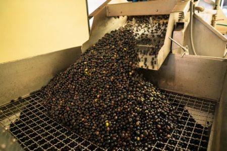 Μπαράζ ελέγχων σε πρατήρια υγρών καυσίμων και ελαιοτριβεία