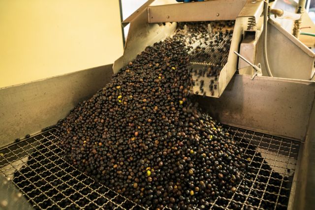 Μπαράζ ελέγχων σε πρατήρια υγρών καυσίμων και ελαιοτριβεία