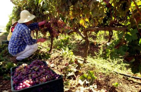 Όλο και καλύτερα για τα ελληνικά κρασιά και τις εξαγωγές τους