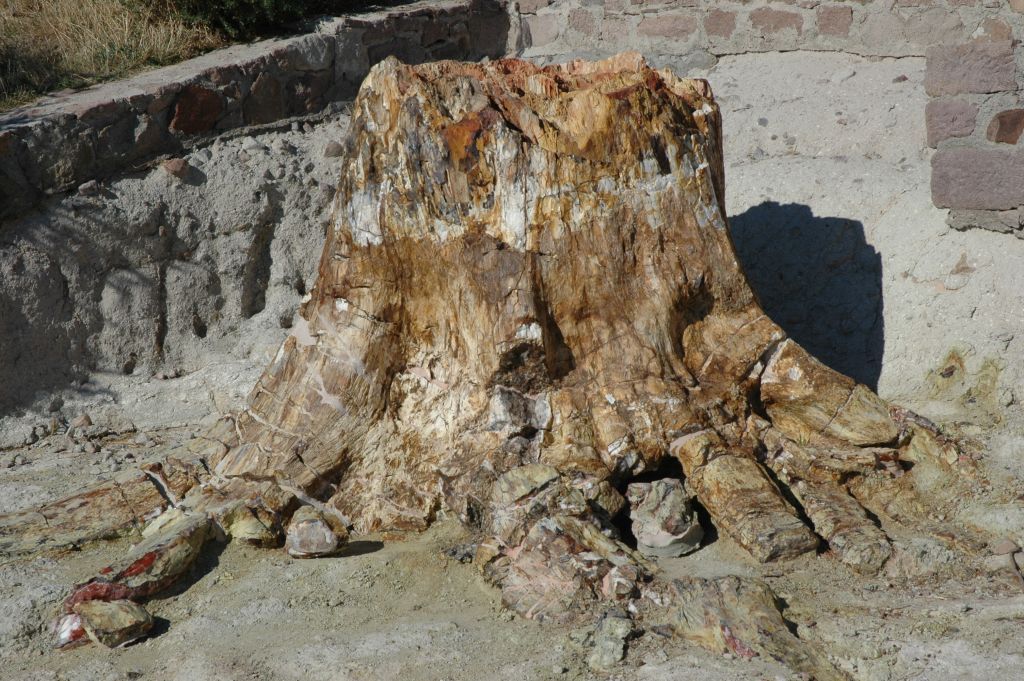 Σίγρι Λέσβου: Η γεωλογική ιστορία της λεκάνης του Αιγαίου (Εικόνες)