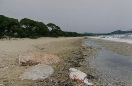 Τα κατάφεραν οι τρεις σέρφερ στο Σχινιά που κινδύνεψαν από τους δυνατούς ανέμους