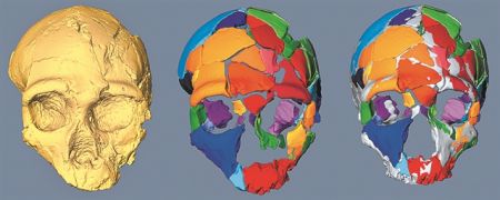 Πρώιμος Homo sapiens στη Μάνη