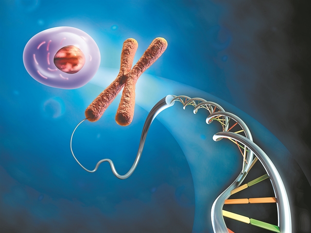 Αναπαραγωγικά παράδοξα