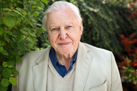 Ατένμπορο: «Η στιγμή της κρίσης έχει έρθει»