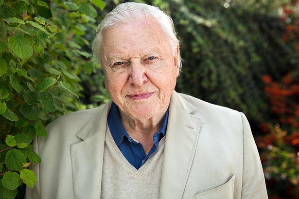 Ατένμπορο: «Η στιγμή της κρίσης έχει έρθει»