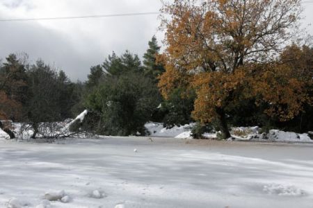 Καιρός:  Στα «λευκά» η Πάρνηθα εξαιτίας του βοριά