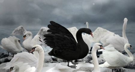 Μαύροι κύκνοι και γκρίζοι ρινόκεροι