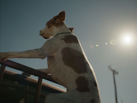 Ελληνική επιτυχία στο Κλερμόν Φεράν