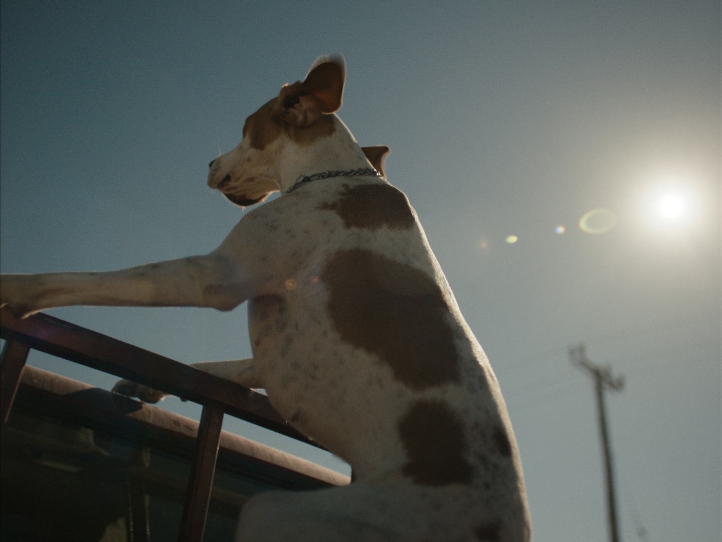 Ελληνική επιτυχία στο Κλερμόν Φεράν