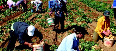 Editorial: Crucial decisions