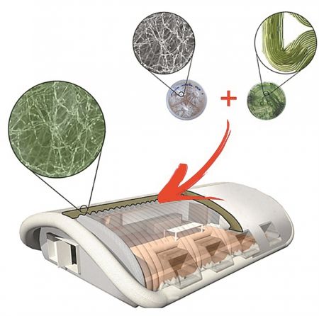 Μυκητόσπιτα για τη Σελήνη