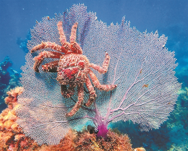 Μια κορβέτα του 1872 αποκαλύπτει το… (έγ)κλιμα