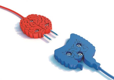 ΤΟ ΕΝΤΕΡΟ ΕΛΕΓΧΕΙ ΤΟΝ ΕΓΚΕΦΑΛΟ