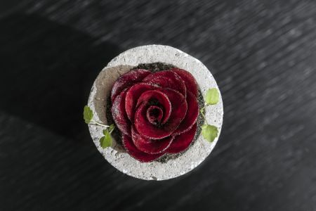 Η θηλυκή όψη της υψηλής μαγειρικής