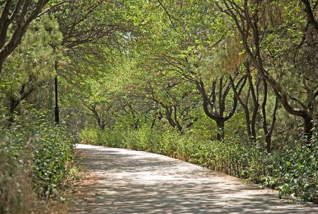 Κλείνουν πάρκα και χώροι αναψυχής στην Αττική