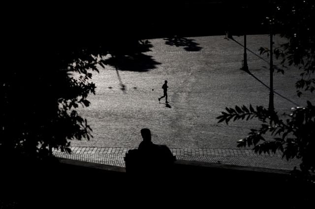 Αγέλη ανοησίας