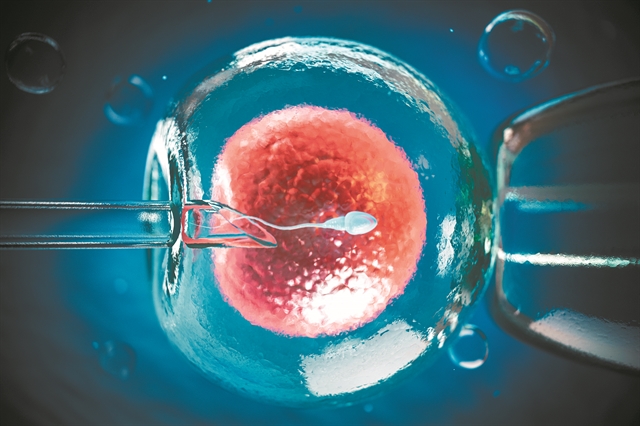 Εξωσωματική γονιμοποίηση: τελευταίες εξελίξεις, δωρεά και κατάψυξη ωαρίων | tovima.gr