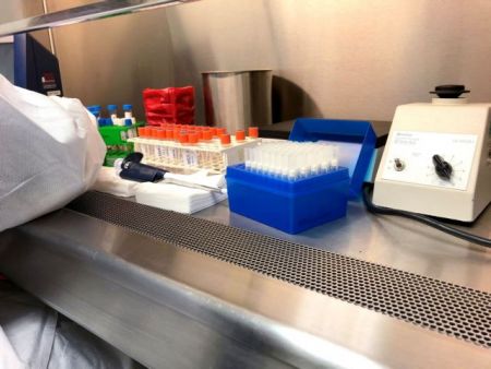 Καθηγητής Πνευμονολογίας στο MEGA: Φαίνεται να έχουμε φτάσει στην κορύφωση της επιδημίας