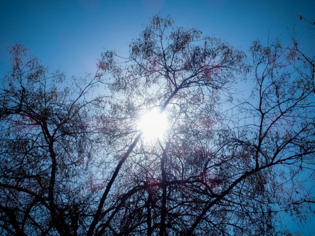 Καιρός: Κυριακή των Βαϊων με ηλιοφάνεια – Μικρή πτώση της θερμοκρασίας σήμερα
