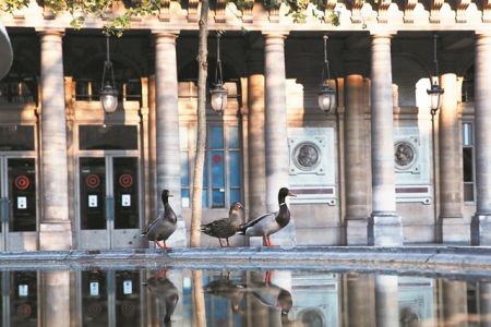 Καθημερινές μικρές νίκες