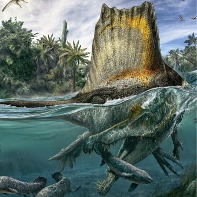Σπινόσαυρος: Ο πρώτος δεινόσαυρος που κολυμπούσε σε ποτάμια της Βόρειας Αφρικής