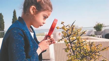 Καραντίνα μικρού μήκους