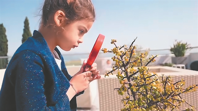 Καραντίνα μικρού μήκους