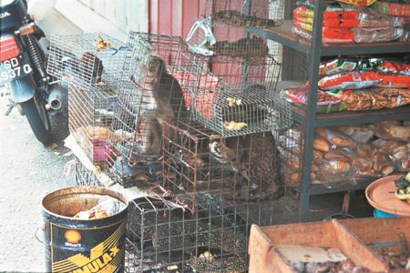 Η πανδημία θα αλλάξει το… κλίμα ή θα ακυρώσει το Green Deal;