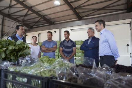 Επίσκεψη Μητσοτάκη σε αγρόκτημα: Μοχλός οικονομικής ανάκαμψης ο πρωτογενής τομέας