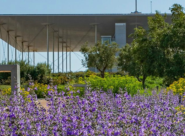 Ανοίγει στο κοινό το πάρκο Σταύρος Νιάρχος