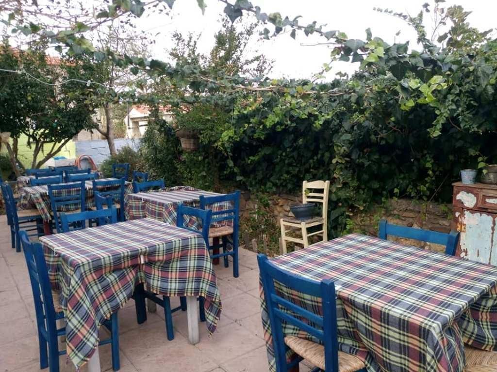 Χαλκιδική: Σκέψεις να κόψουν τα τηγανητά οι ταβέρνες – Δεν υπάρχει ηλιέλαιο ούτε για δείγμα